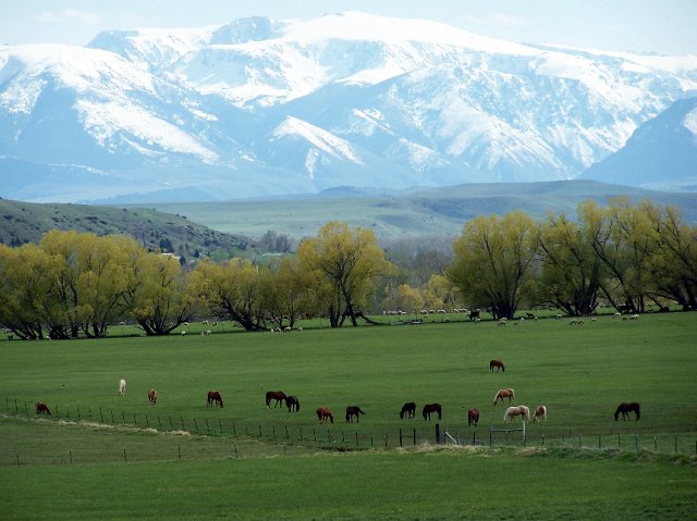 Montana Mountains from Barron Ranch