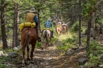 Horseback Trail Tour