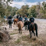 trail rides