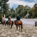 trail rides