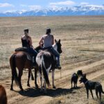 Trail Rides